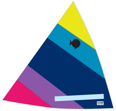 Sunfish Sail Newport